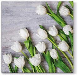 PAW - Törlőkendők L 33X33cm White Tulips