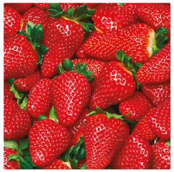 PAW - Törlőkendő L 33x33cm Raw Strawberries