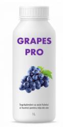 SemPlus Ingrasamant lichid cu humat de potasiu pentru vita de vie, Grapes Pro, 1 litru, SemPlus