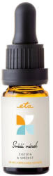 ETA Ulei Esential ETA Fresh air 0833 90030, 10 ml, aromaterapie, amestec de plante medicinale (ETA083390030) - mobiplaza