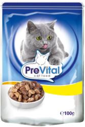 Partner in Pet Food Hrana Umeda Cat Premium, Pui, 24 x 100 g