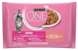 ONE Hrana Umeda One pentru Pisici Junior, cu Somon si Morcovi, 4 x 85 g