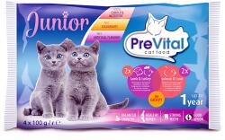 Partner in Pet Food Hrana Umeda Cat Junior, Miel, Pui, 4 x 100 g