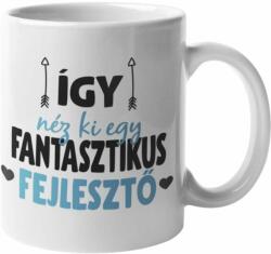 Így néz ki egy fantasztikus fejlesztő