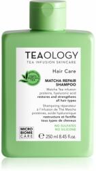 Teaology Hair Matcha Repair Shampoo erősítő sampon 250 ml
