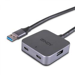 Lindy Hub Lindy 4 Porturi, interfata USB 3.2 / 3.1 Gen 1 / USB 3.0, latime de banda suportata 5Gbs, gri (LY-43388) - shoppix