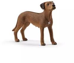 Schleich Animal - câine Rhodesian Ridgeback (102613895) Figurina