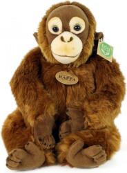 Rappa Urangutan de pluș 27 cm ECO-FRIENDLY (RP211841)