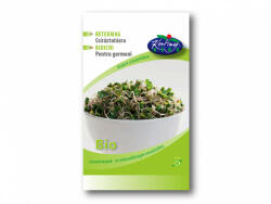 Rédei Kertimag Zrt Rédei Bio retekmag csíráztatásra - 30 g