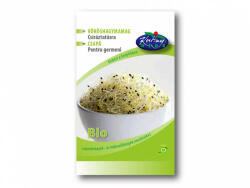 Rédei Kertimag Zrt Rédei Bio vöröshagymamag csíráztatásra - 15 g
