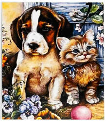  Pictura pe numere cu animale pentru Copii si Adulti: Catel si Pisica Carte de colorat