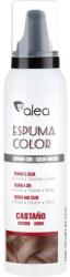Azalea Cosmetics Spumă colorată pentru păr - Azalea Espuma Color Pearl Grey