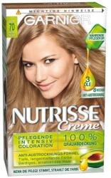 Garnier Vopsea de păr - Garnier Nutrisse Creme 4.26 - Violin