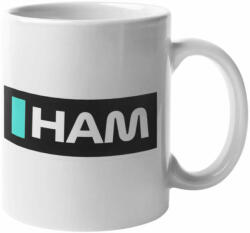 HAM Lewis Hamilton