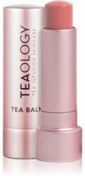 Teaology Tea Balm balsam pentru buze cu efect hidratant culoare Peach Tea 4 g