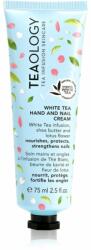 Teaology White Tea Hand and Nail Cream cremă hidratantă pentru mâini și unghii 75 ml
