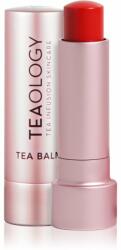 Teaology Tea Balm balsam pentru buze cu efect hidratant culoare Cherry Tea 4 g