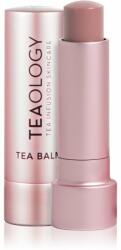 Teaology Tea Balm balsam pentru buze cu efect hidratant culoare Vanilla Tea 4 g