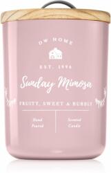 DW HOME Farmhouse Sunday Mimosa illatgyertya 434 g