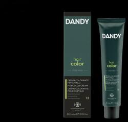 Dandy Hair Color férfi hajszínező 6 60ml