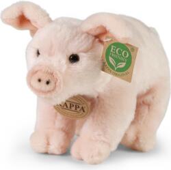 Rappa Porc de pluș 20 cm ECO-FRIENDLY (RP920156)