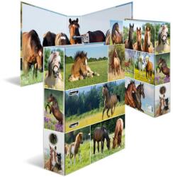 HERMA Ordner A4 Pferdewiese (19251) (19251)