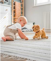 Little Bird Told Me - Dexter Dog Pull Along Toy cu roti detasabile, Golden Labrador Soft Cuddly Dog Toy pentru copii (LB3082)