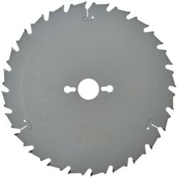 DEWALT Panza fierastrau circular EXTREME, 250x30x2.8mm, 24 dinti, DeWALT (DT4202-QZ) - bricolaj-mag