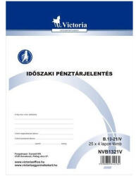 Nyomtatvány, időszaki pénztárjelentés, 25x4, A4, VICTORIA 'B. 13-21 (NVB1321VDB) - cartridge