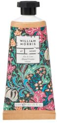 Heathcote & Ivory Cremă de mâini Golden Lily Dragon - Aloe & Lime, 50ml