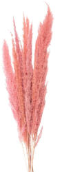 Clayre & Eef Buchet flori uscate roz 100 cm (5DF0022)