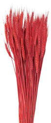 Clayre & Eef Buchet spice grau rosii 80 cm (5DF0012)