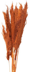 Clayre & Eef Buchet flori uscate portocalii 90 cm (5DF0013)
