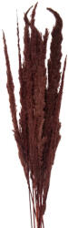 Clayre & Eef Buchet flori uscate maro 100 cm (5DF0023)