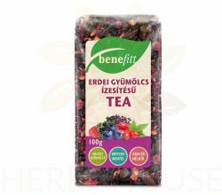 Benefitt Amestec de ceai de fructe în vrac de pădure și hibiscus (100g)