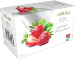 Herbária Ceai de fructe cu aromă de căpșuni (20buc)