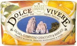 Nesti Dante Dolce Vivere săpun Capri (250g)