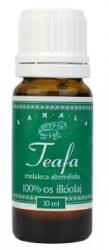 Kamala Ulei esențial de arbore de ceai (10ml)