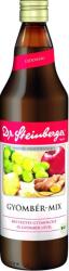 Dr. Steinberger Suc de fructe bio Ginger-Mix (750ml)