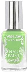 Barry M Lac de unghii - Barry M Wildlife Nail Paint Coral Reef