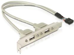 Delock Hátlapi kivezetés > 2x USB 2.0 Type-A (71000)