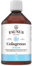 Faunus Plant Colagenus Articulații, Colagen lichid, 500 ml, Faunus Plant