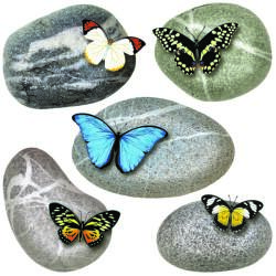 4-Home Decorațiune autocolantă Butterflies on Stones, 30 x 30 cm