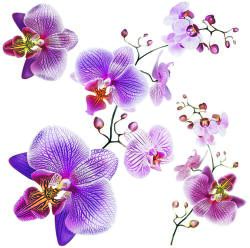 4-Home Decorațiune autocolantă Orhidee, 30 x 30 cm