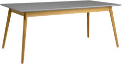 Tenzo Matt szürke lakkozott étkezőasztal Tenzo Pont 180 x 90 cm (9001680012)