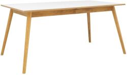 Tenzo Matt fehér lakkozott összecsukható étkezőasztal Tenzo Dot II. 160/205 x 90 cm (9001681907)