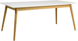 Tenzo Matt fehér lakkozott étkezőasztal Tenzo Pont 180 x 90 cm (9001680001)