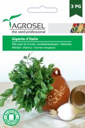 Agrosel Seminte patrunjel de frunza Gigante d'Italia(9 gr), Agrosel