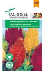 Agrosel Seminte Creasta cocosului plumosa, melanj (0.5gr), Agrosel
