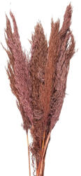 Clayre & Eef Buchet flori roz uscate 100 cm (5DF0024)